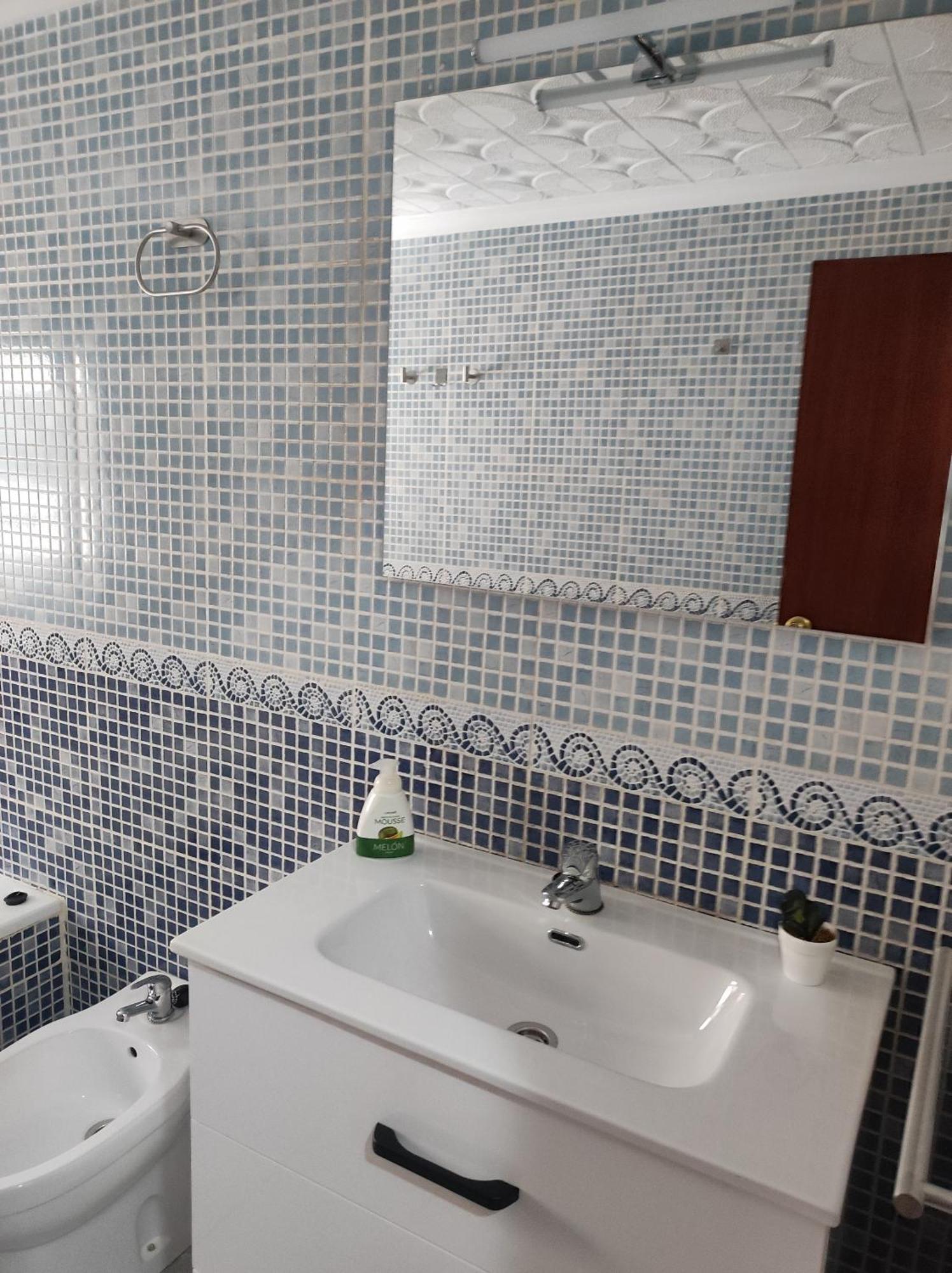 El Palmeral Apartment